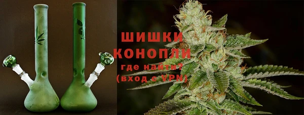 сатива Кодинск