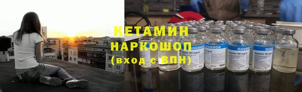 сатива Кодинск