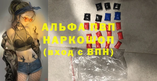 сатива Кодинск