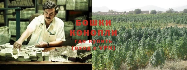первитин Козловка