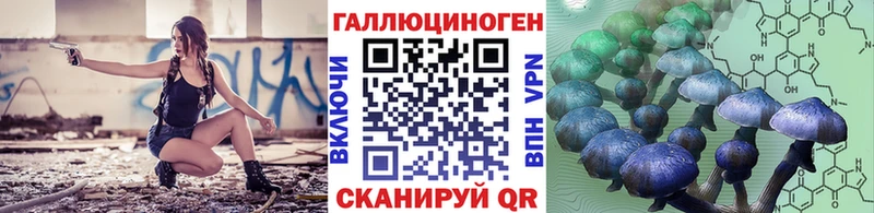 Псилоцибиновые грибы Cubensis Юрга
