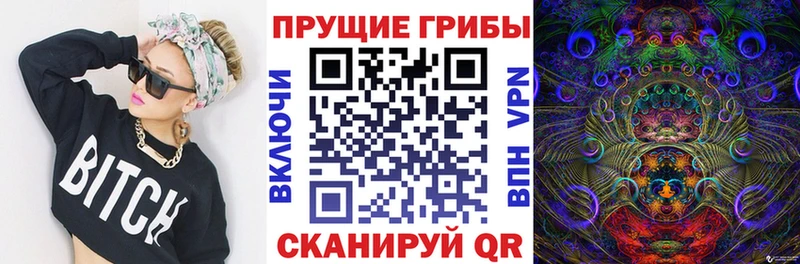 Купить  Юрга  Псилоцибиновые грибы мицелий 